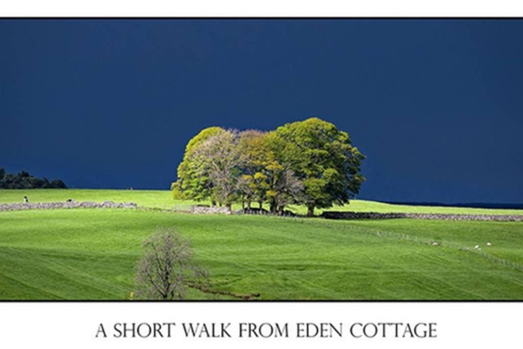 Lake District Cottage In 1 Acre Gardens Off M6 Penrith Exterior foto